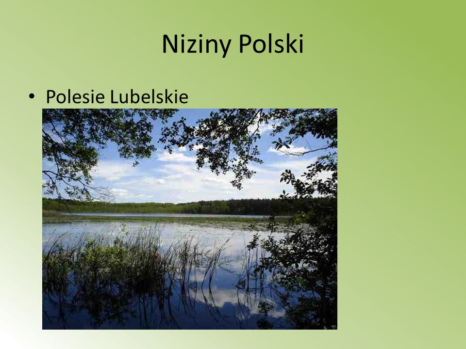 Niziny Polski Polesie Lubelskie