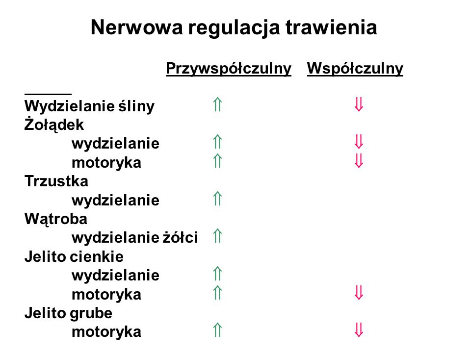 Regulacja nerwowa