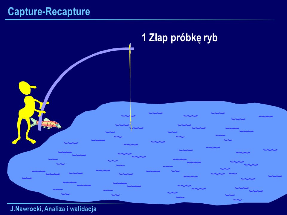 Capture-Recapture 1 Złap próbkę ryb J.Nawrocki, Analiza i walidacja