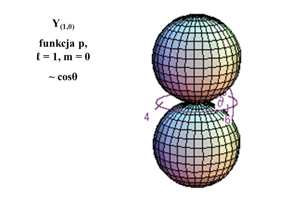 Y(1,0) funkcja p, ℓ = 1, m = 0 ~ cosθ