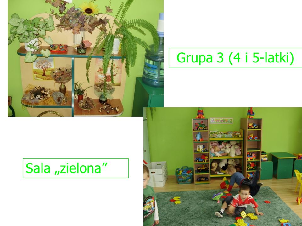 Grupa 3 (4 i 5-latki) Sala „zielona