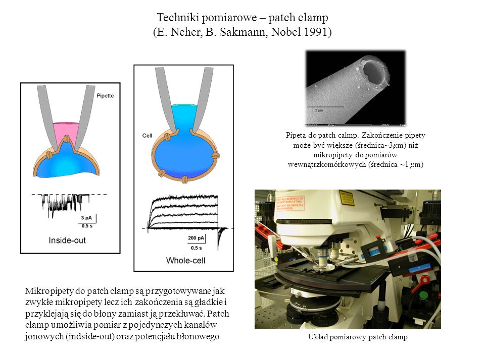 Techniki pomiarowe – patch clamp (E. Neher, B. Sakmann, Nobel 1991)