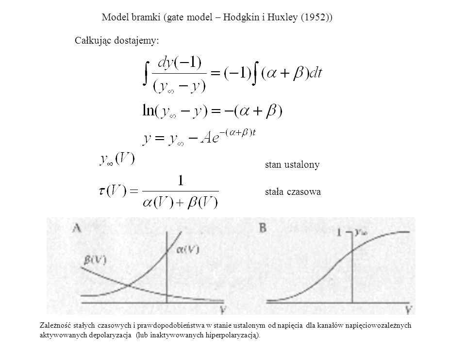 Model bramki (gate model – Hodgkin i Huxley (1952))