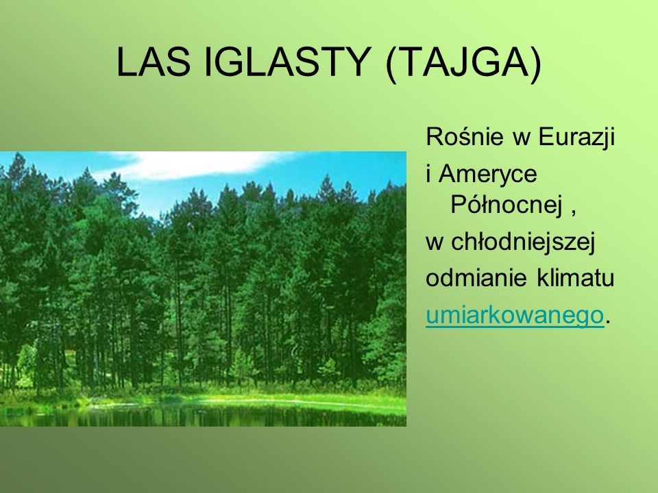 LAS IGLASTY (TAJGA) Rośnie w Eurazji i Ameryce Północnej ,