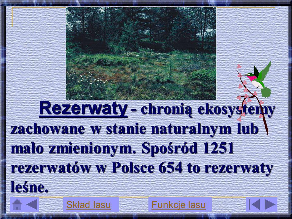 Rezerwaty - chronią ekosystemy zachowane w stanie naturalnym lub mało zmienionym. Spośród 1251 rezerwatów w Polsce 654 to rezerwaty leśne.