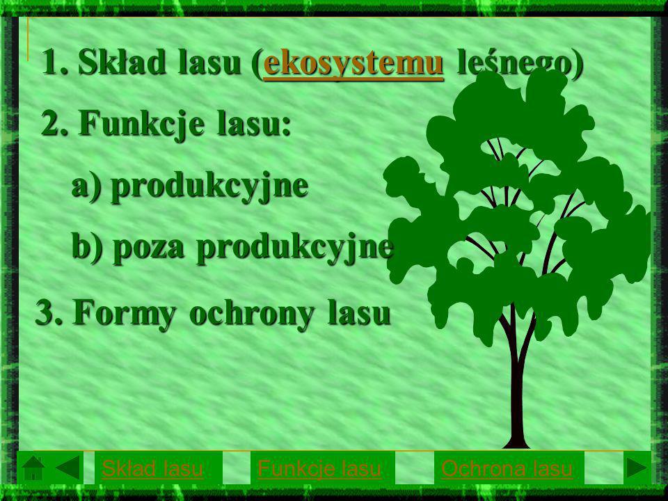 1. Skład lasu (ekosystemu leśnego)
