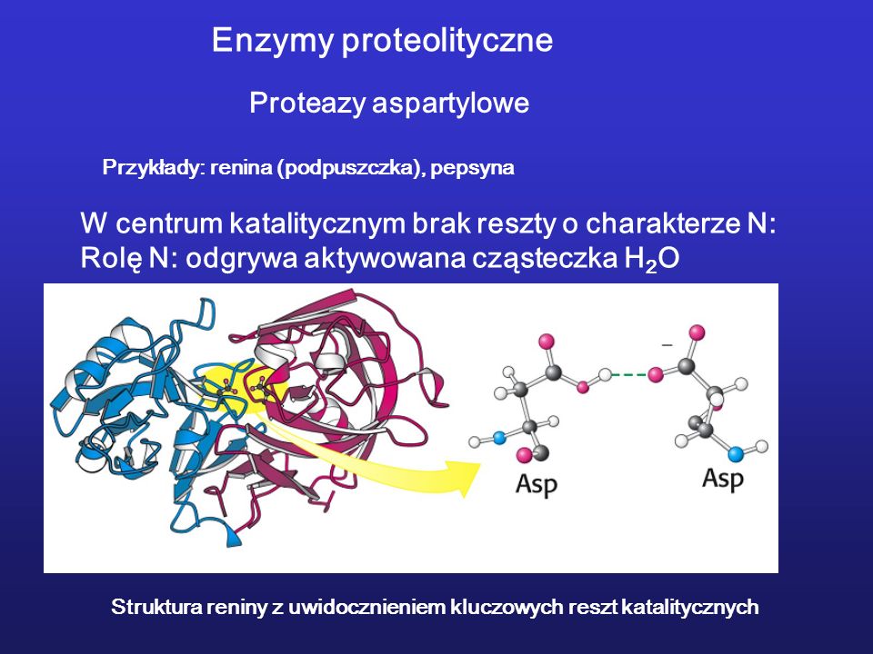 Enzymy proteolityczne