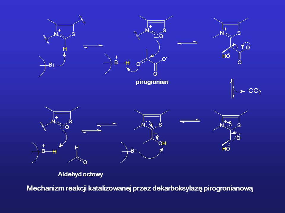 Mechanizm reakcji katalizowanej przez dekarboksylazę pirogronianową