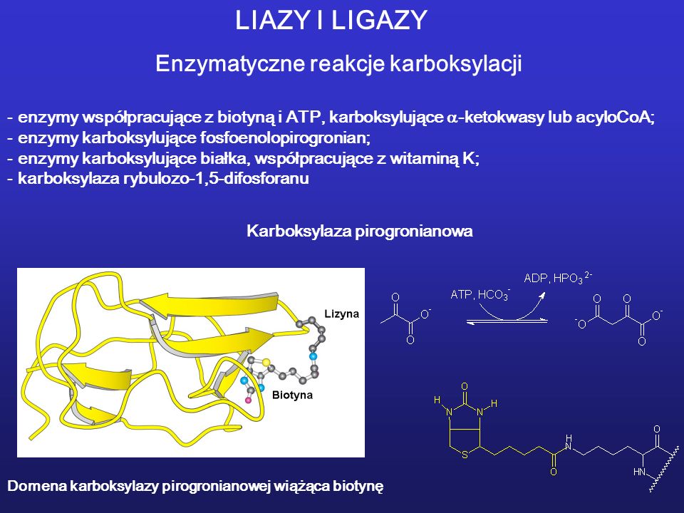 LIAZY I LIGAZY Enzymatyczne reakcje karboksylacji