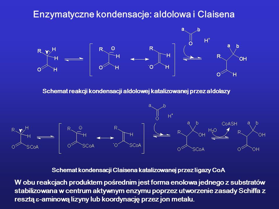 Enzymatyczne kondensacje: aldolowa i Claisena