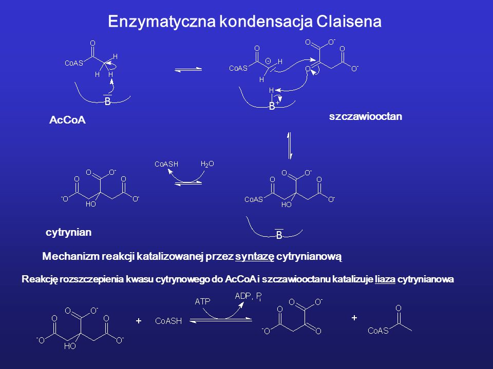 Enzymatyczna kondensacja Claisena