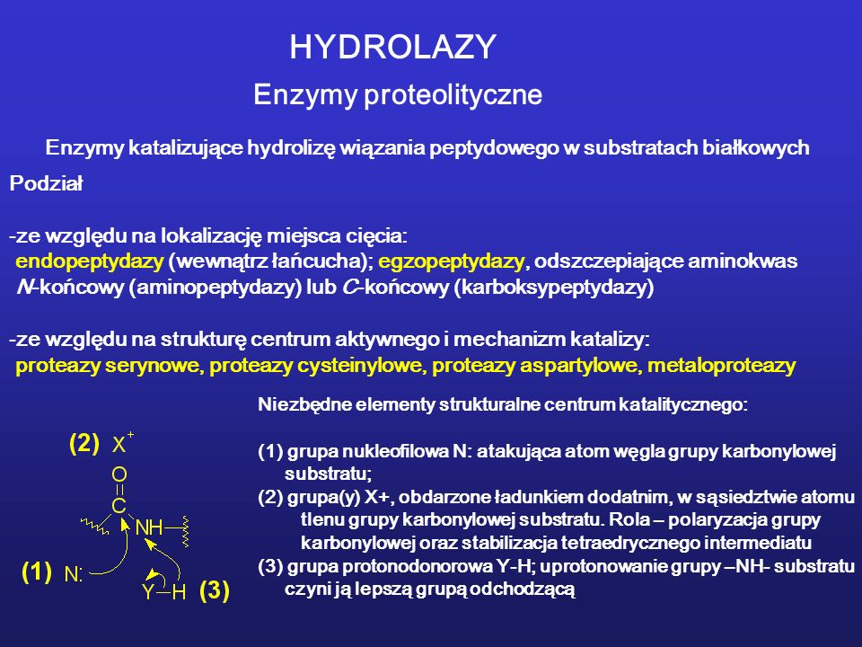 HYDROLAZY Enzymy proteolityczne