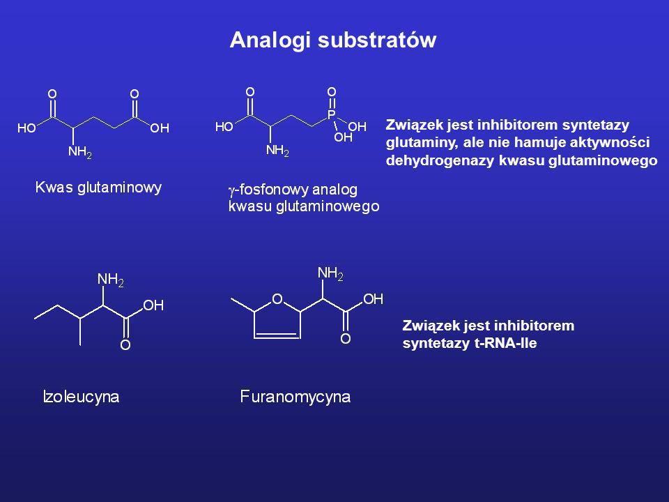 Analogi substratów Związek jest inhibitorem syntetazy