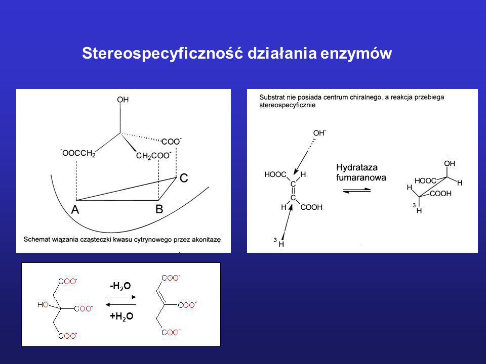 Stereospecyficzność działania enzymów