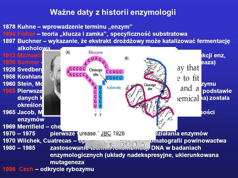 Ważne daty z historii enzymologii