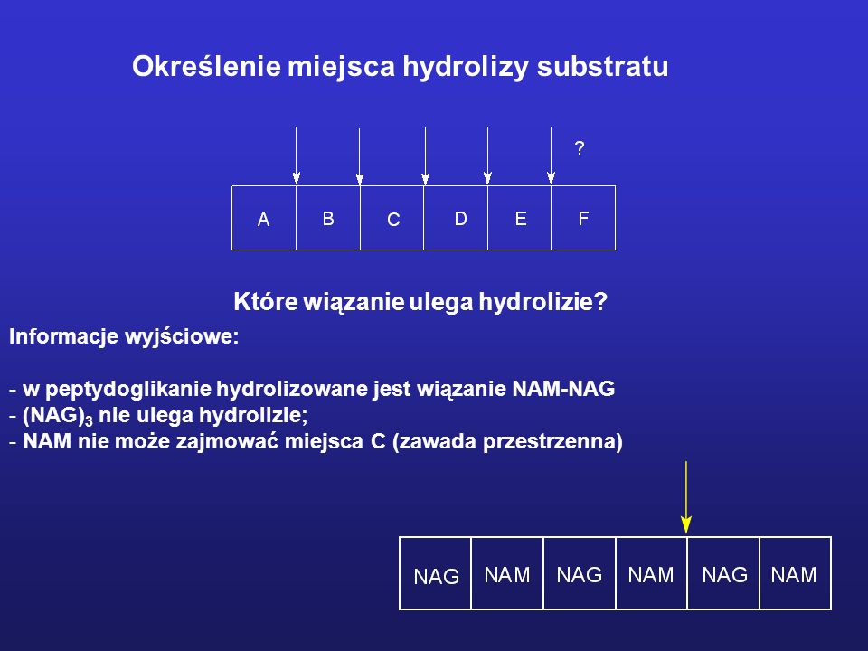 Określenie miejsca hydrolizy substratu