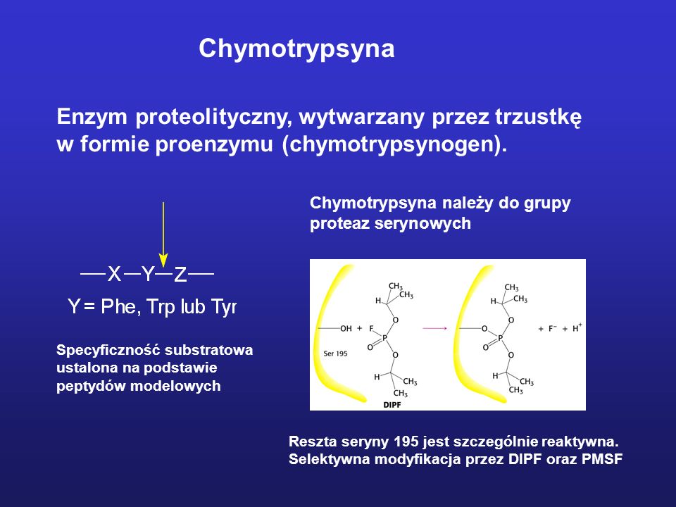 Chymotrypsyna Enzym proteolityczny, wytwarzany przez trzustkę