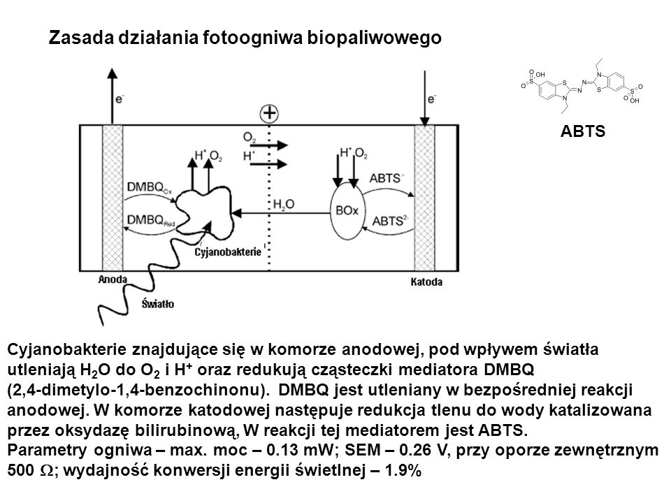 Zasada działania fotoogniwa biopaliwowego