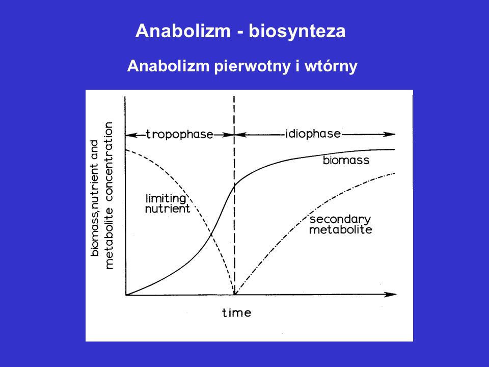 Anabolizm - biosynteza