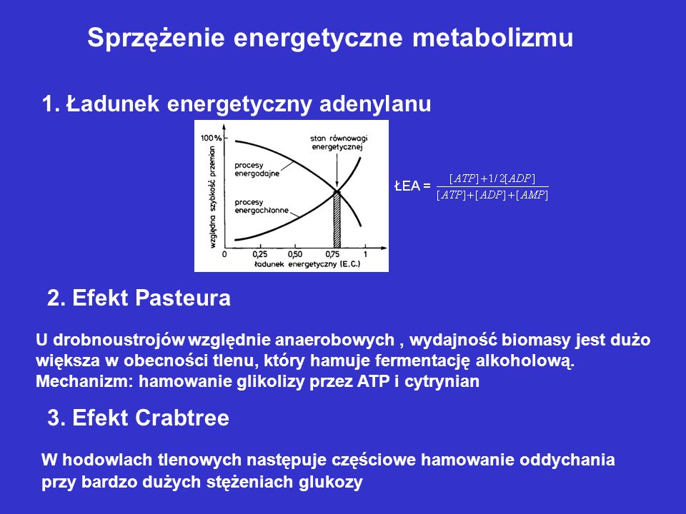Sprzężenie energetyczne metabolizmu