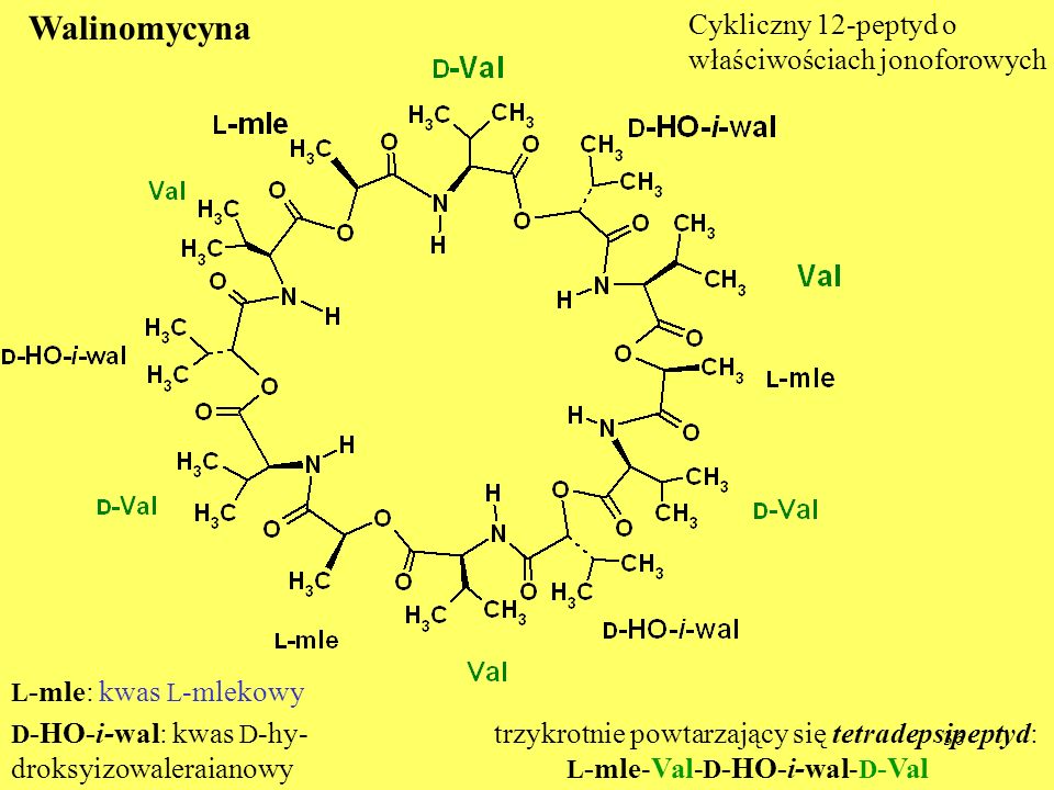 Walinomycyna Cykliczny 12-peptyd o właściwościach jonoforowych