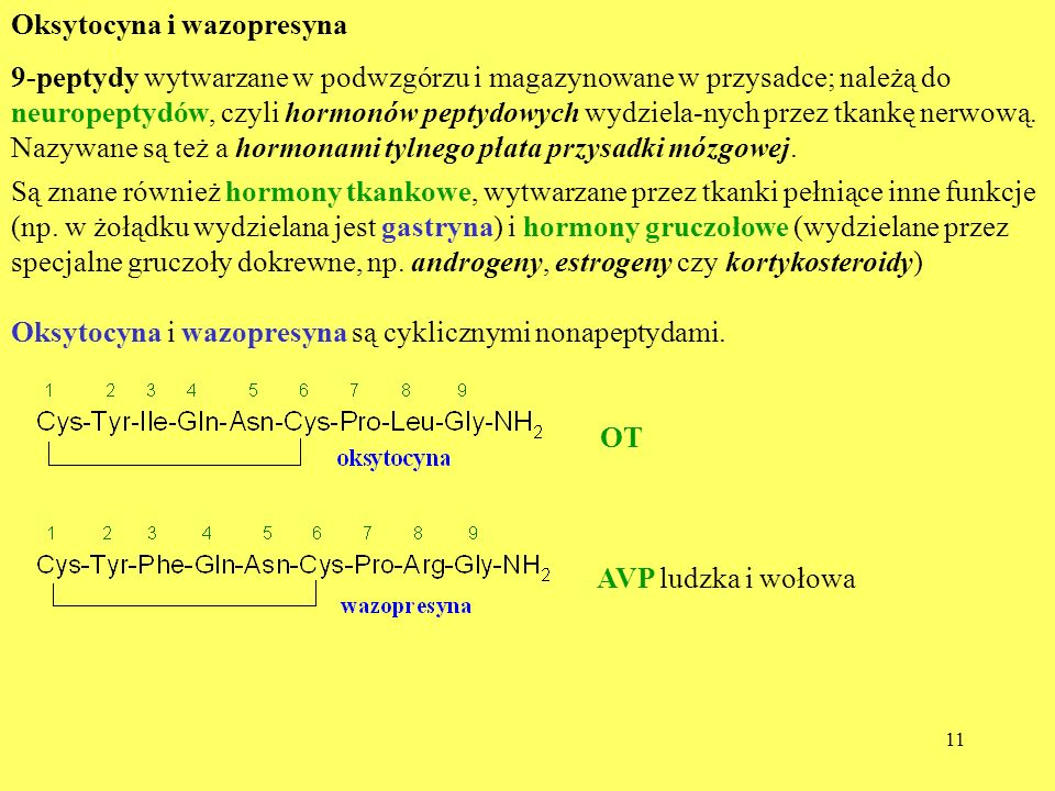 Oksytocyna i wazopresyna