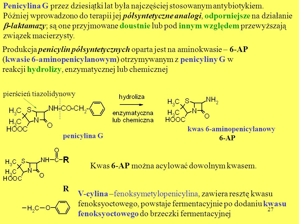 Produkcja penicylin półsyntetycznych oparta jest na aminokwasie – 6-AP