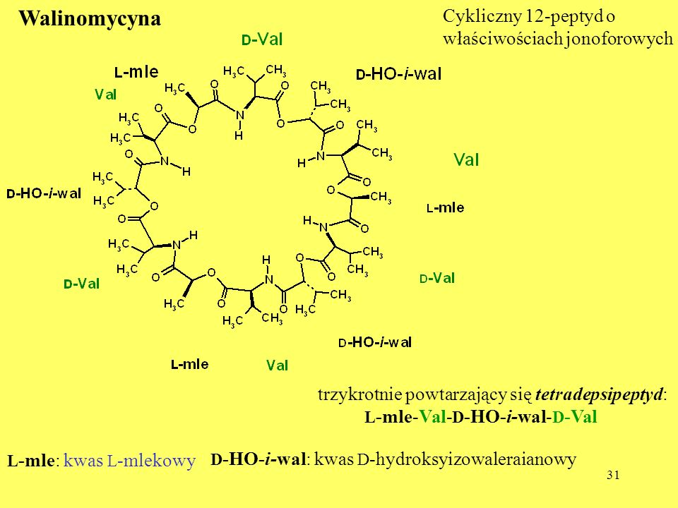 Walinomycyna Cykliczny 12-peptyd o właściwościach jonoforowych