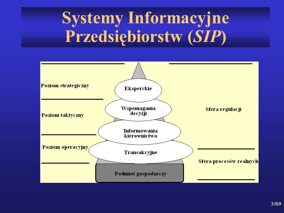 Systemy Informacyjne Przedsiębiorstw (SIP)