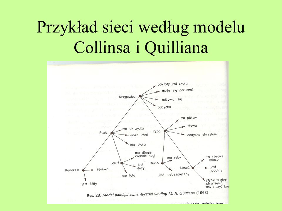 Przykład sieci według modelu Collinsa i Quilliana