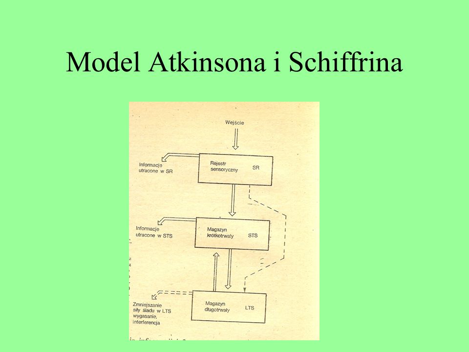 Model Atkinsona i Schiffrina