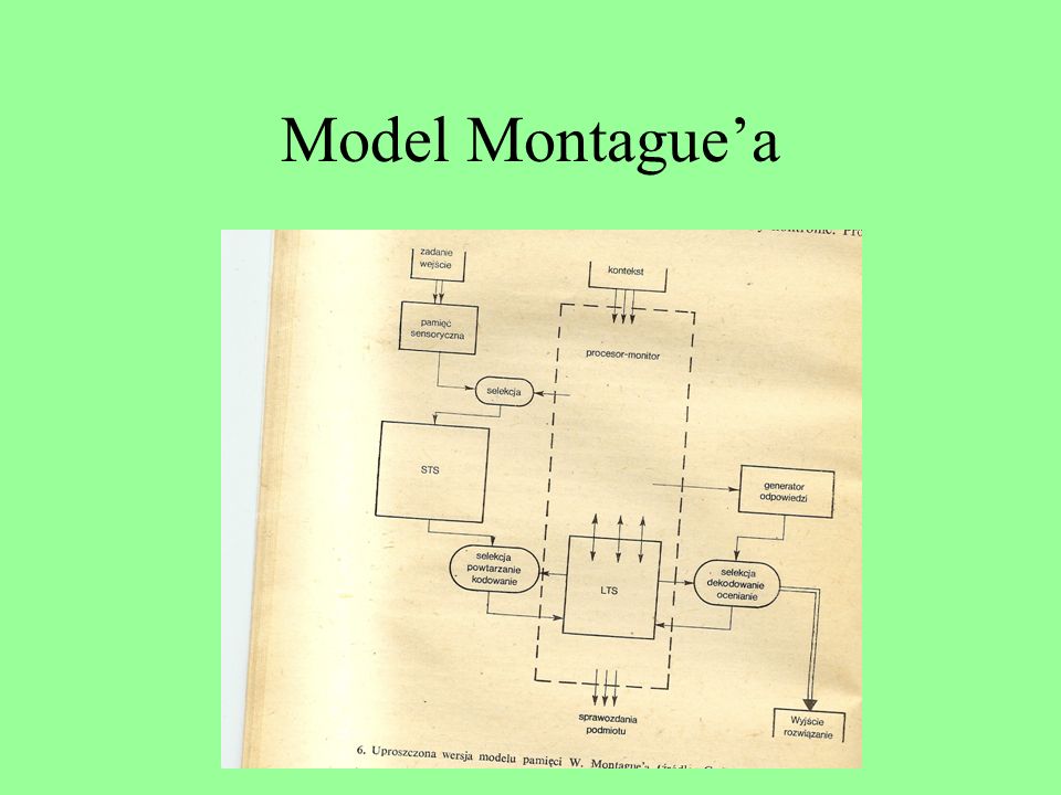 Model Montague’a