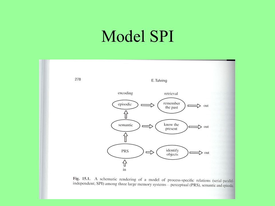 Model SPI