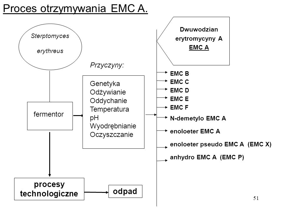 Dwuwodzian erytromycyny A procesy technologiczne