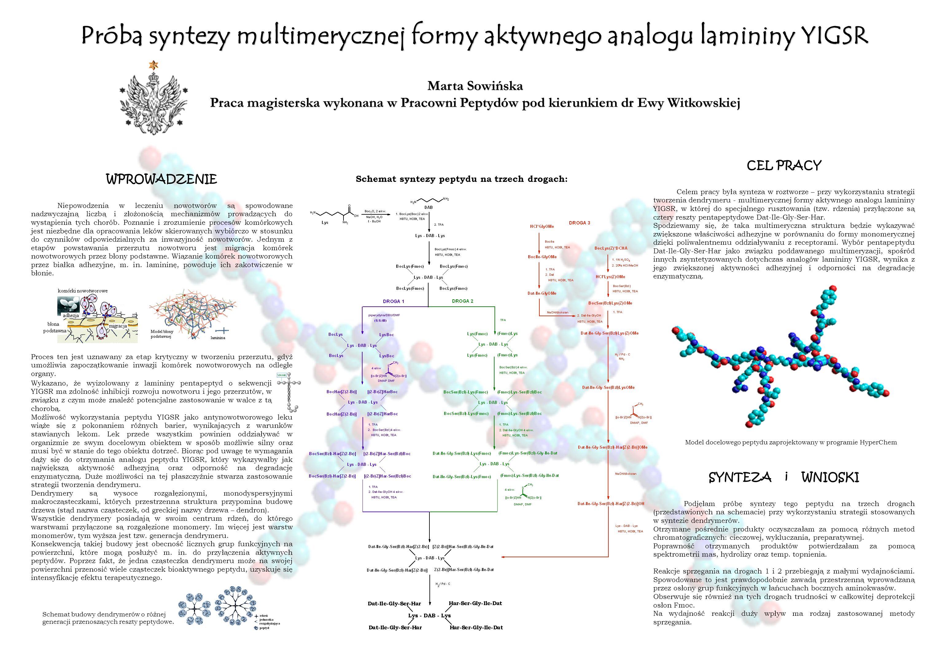 Próba syntezy multimerycznej formy aktywnego analogu lamininy YIGSR