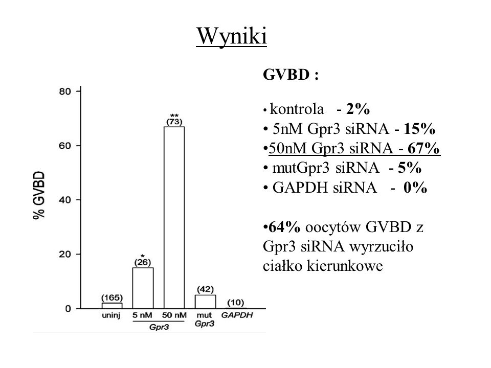 Wyniki GVBD : 5nM Gpr3 siRNA - 15% 50nM Gpr3 siRNA - 67%