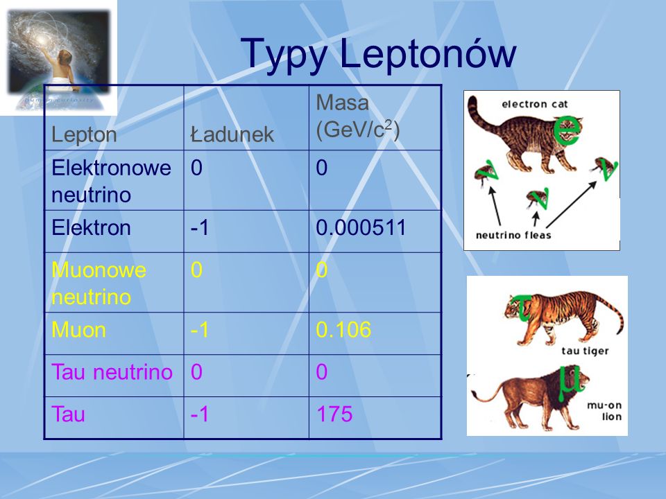 Typy Leptonów Lepton Ładunek Masa (GeV/c2) Elektronowe neutrino