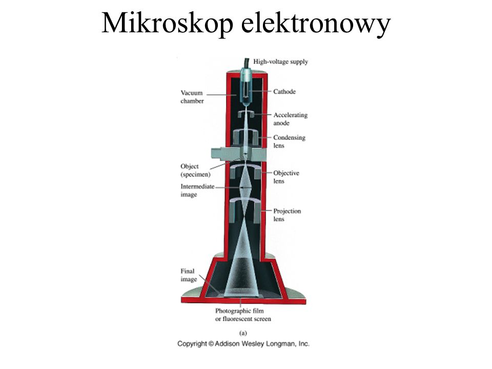 Mikroskop elektronowy