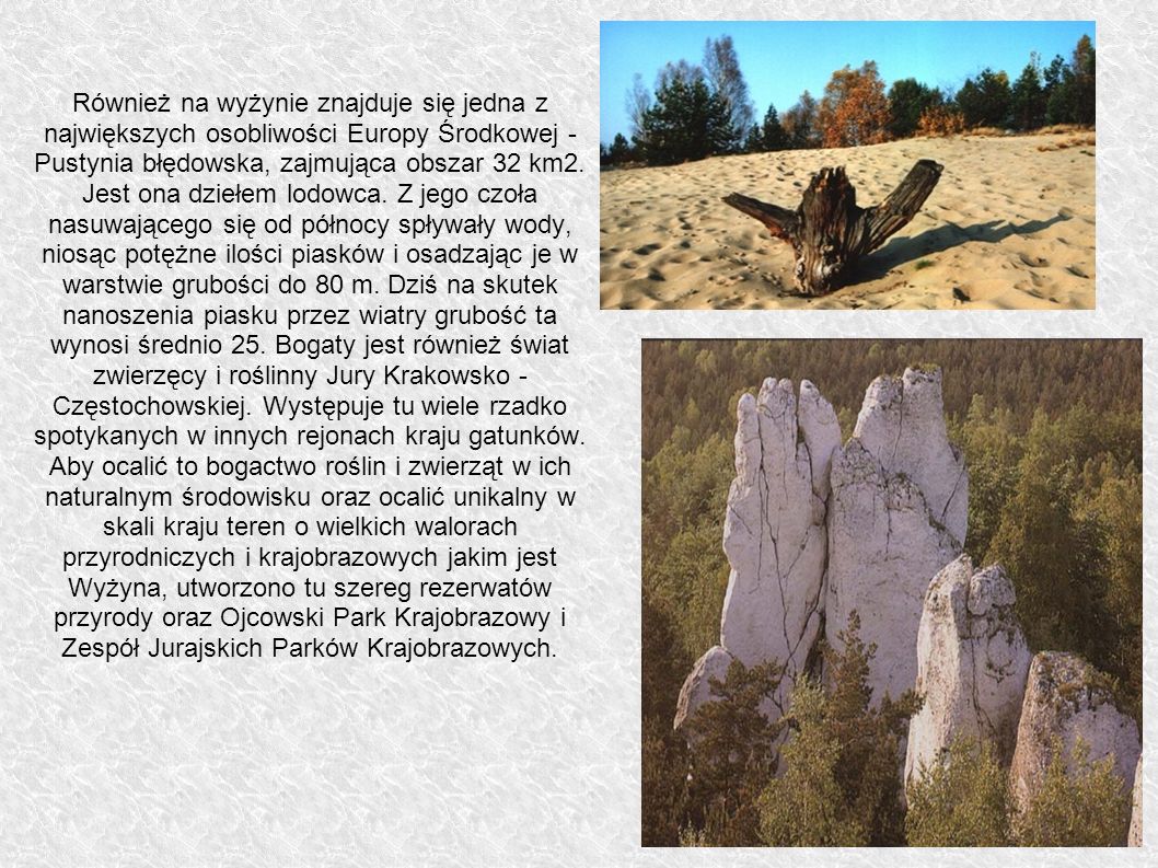 Również na wyżynie znajduje się jedna z największych osobliwości Europy Środkowej - Pustynia błędowska, zajmująca obszar 32 km2.