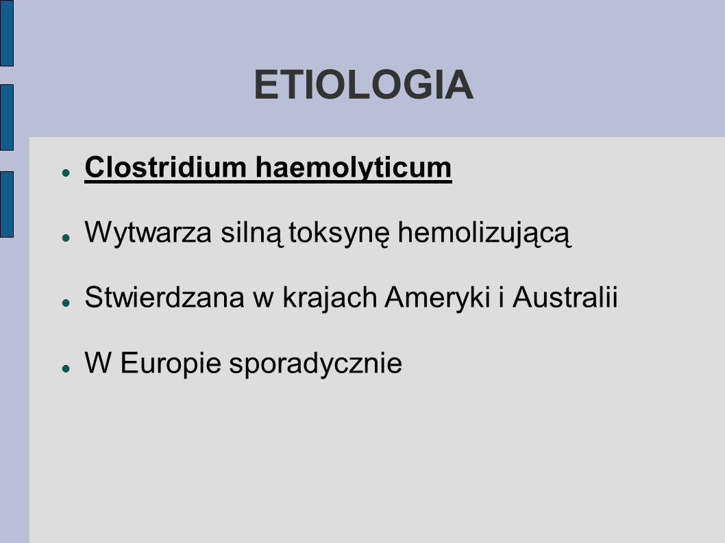 ETIOLOGIA Clostridium haemolyticum Wytwarza silną toksynę hemolizującą