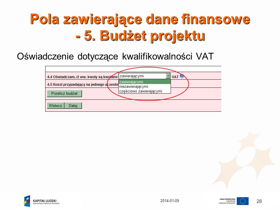 Pola zawierające dane finansowe - 5. Budżet projektu