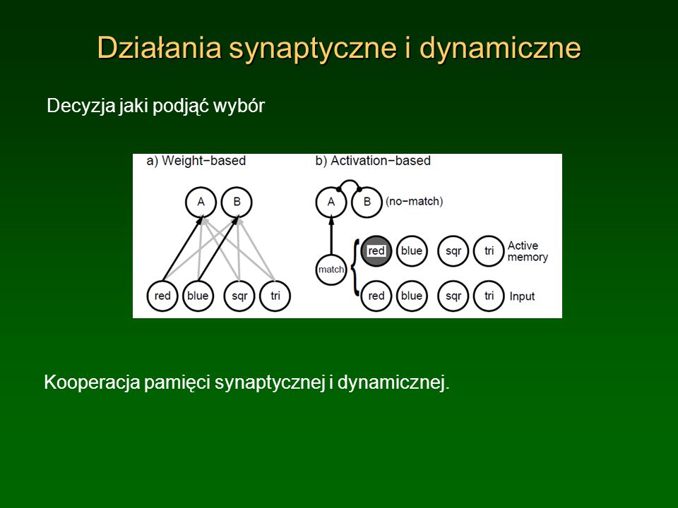 Działania synaptyczne i dynamiczne