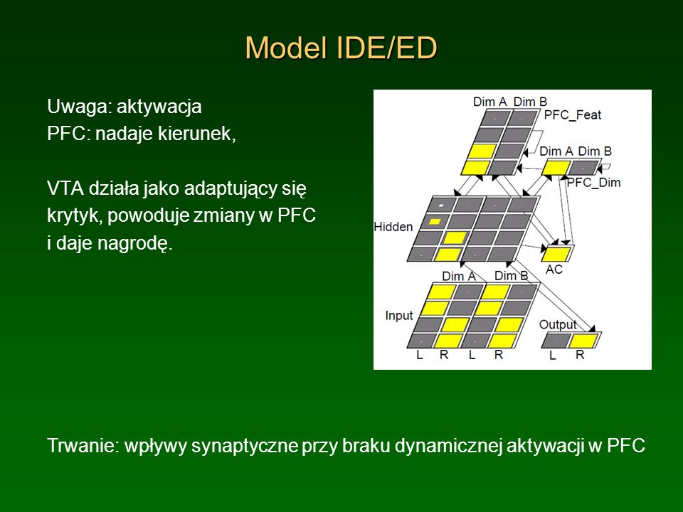 Model IDE/ED Uwaga: aktywacja PFC: nadaje kierunek,