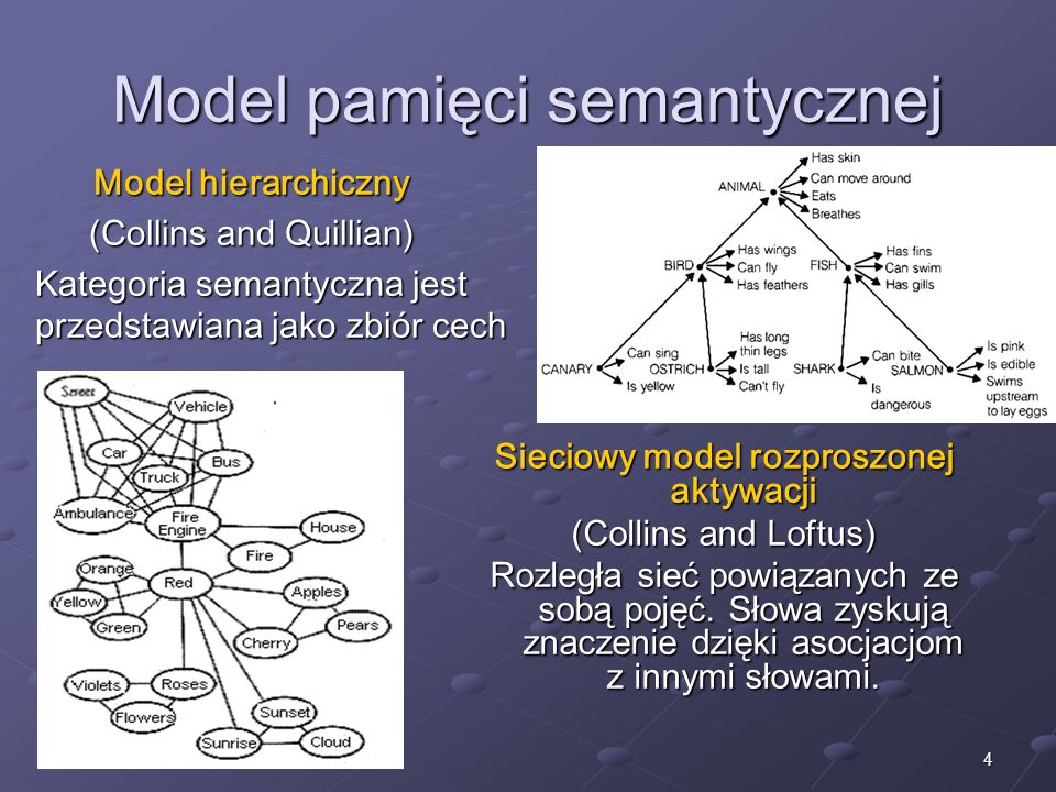 Model pamięci semantycznej