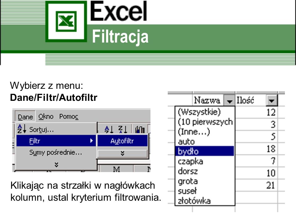 Filtracja Wybierz z menu: Dane/Filtr/Autofiltr