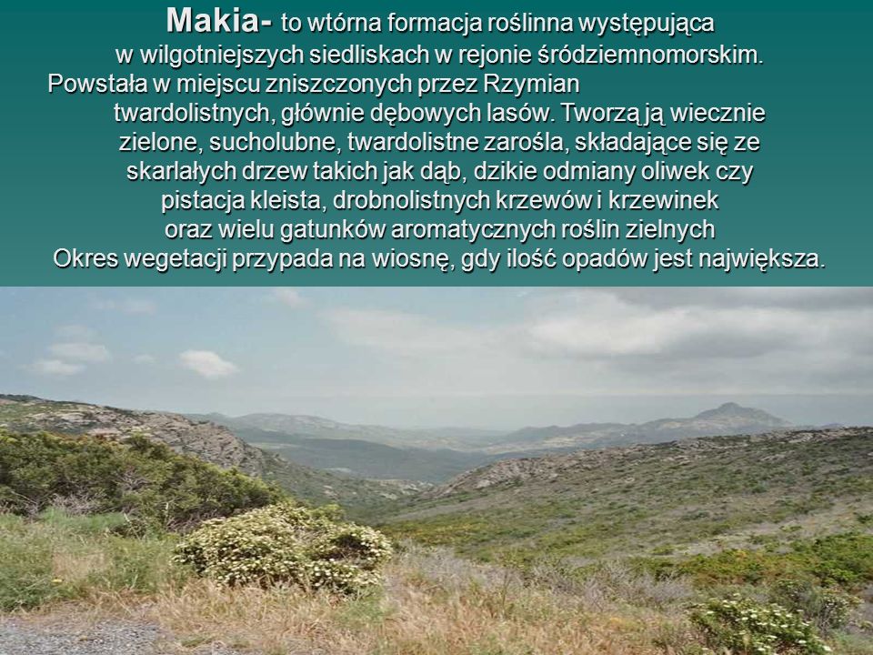 Makia- to wtórna formacja roślinna występująca