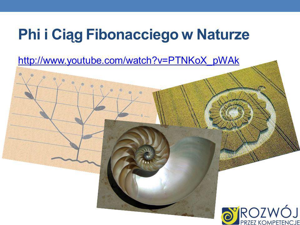 Phi i Ciąg Fibonacciego w Naturze