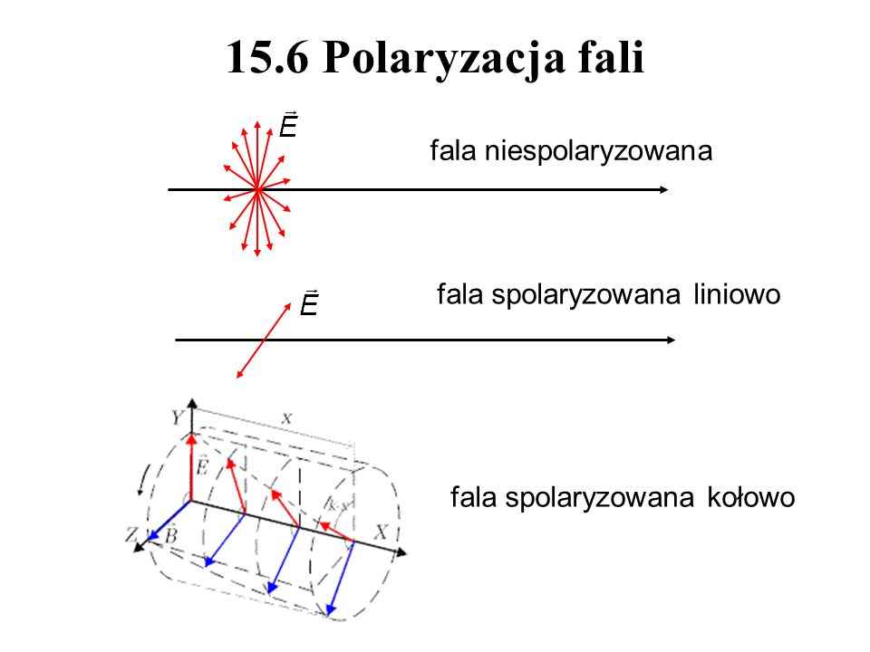 15.6 Polaryzacja fali fala niespolaryzowana fala spolaryzowana liniowo