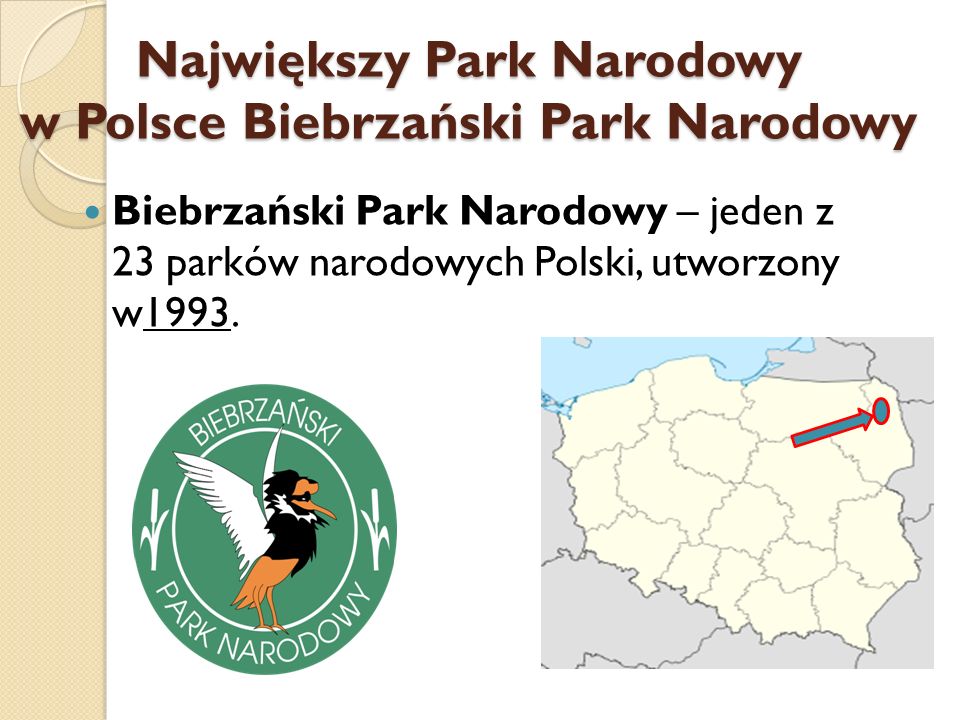 Największy Park Narodowy w Polsce Biebrzański Park Narodowy