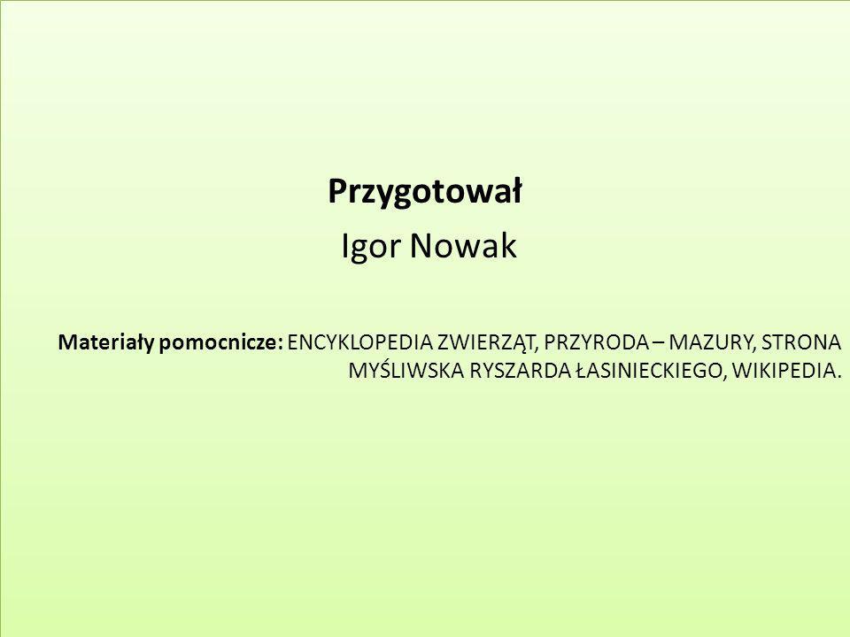 Przygotował Igor Nowak